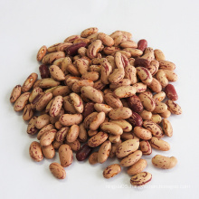 Chinese Light Speckled Kidney Beans Market Price